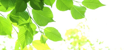 ビーグレン b.glen QuSome販売サイトへ